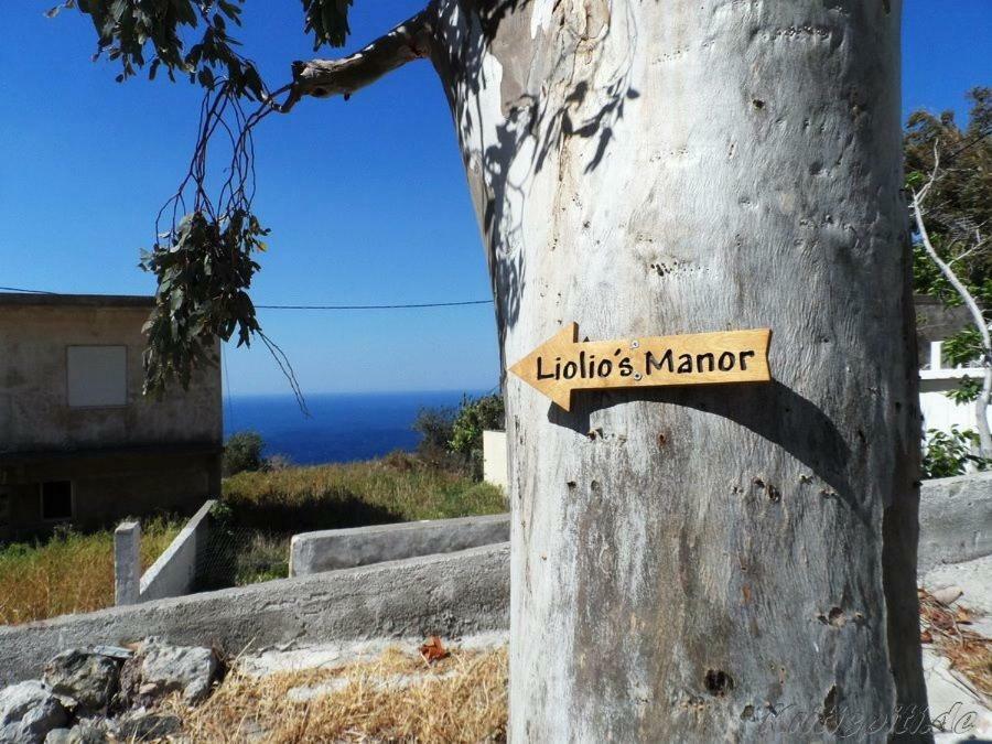 Liolio'S Manor Villa Agalianos Luaran gambar